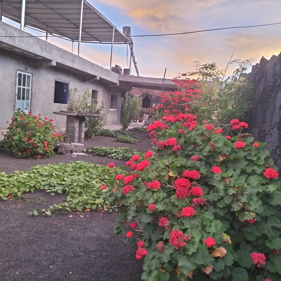 Pensao Repouso Alegre Turismo E Aventura Bed & Breakfast Portela ภายนอก รูปภาพ